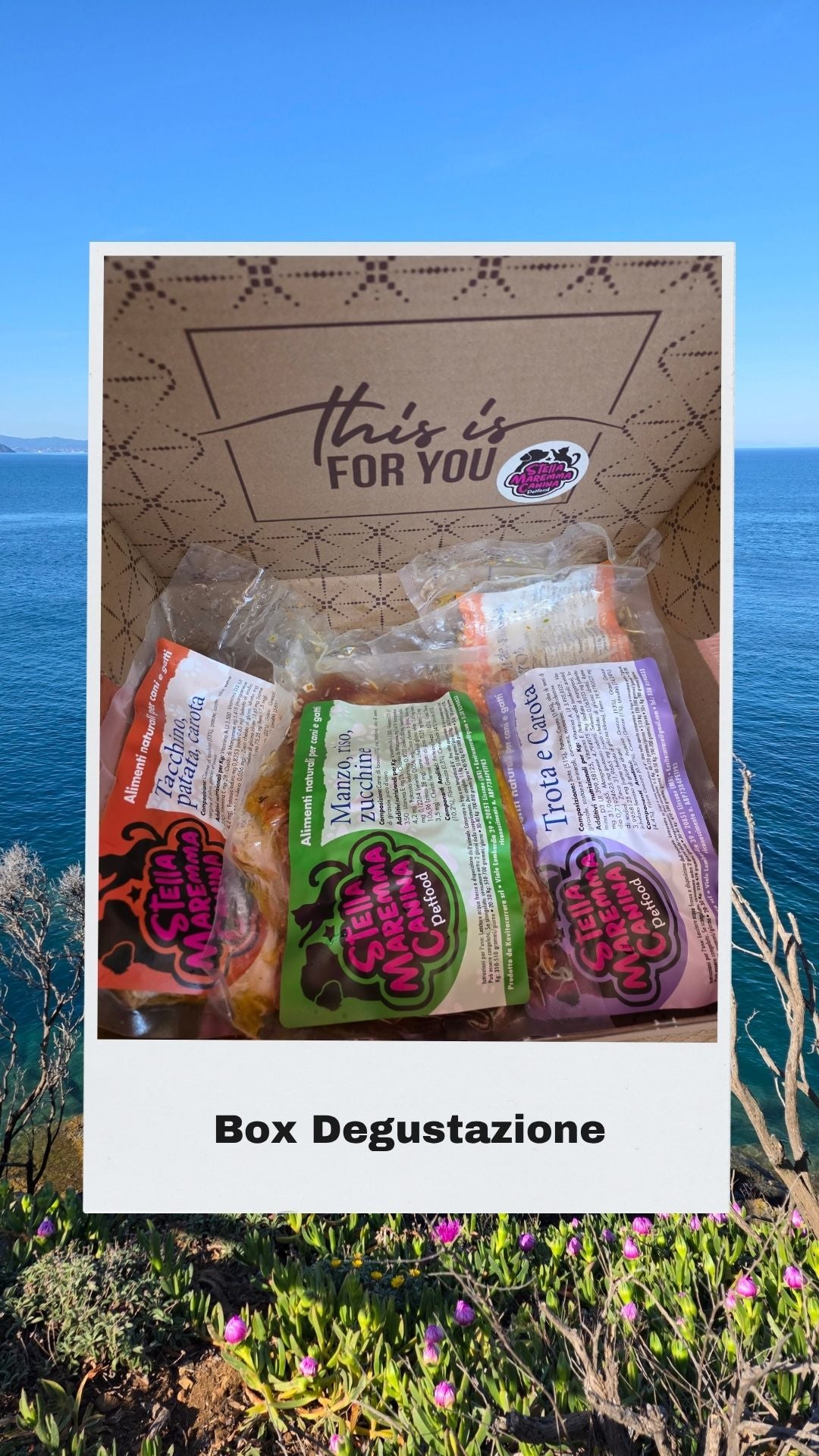 Box Degustazione Fresco Cane