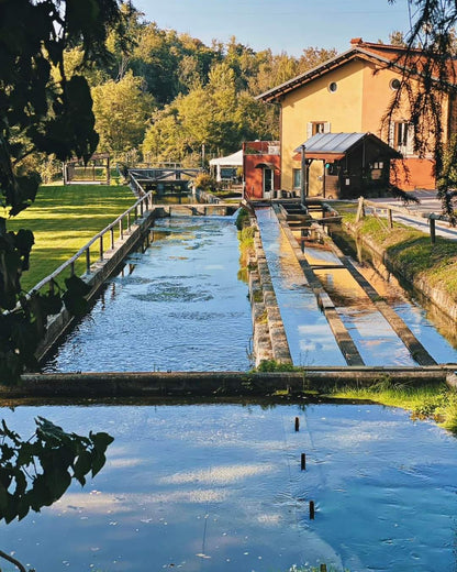 ESSICCATO TROTA per Cani e Gatti. 200 gr