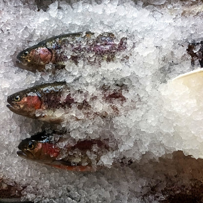 ESSICCATO TROTA per Cani e Gatti. 200 gr